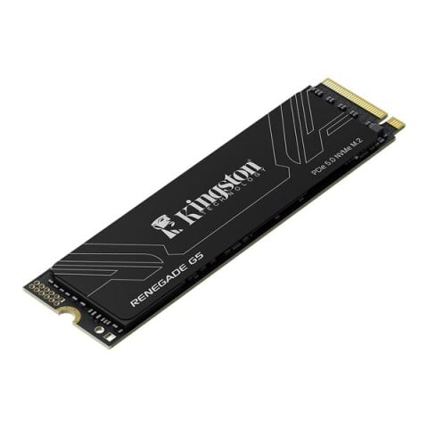 KINGSTON 1TB RENEGADE G5 SRNG2S/1T0 14200-11000MB/s M2 NVME GEN5 DİSK