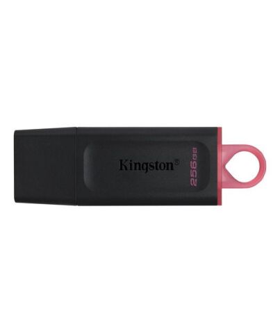 Kingston 256GB USB3.2 Gen1 DataTraveler Exodia (Black + Pink)