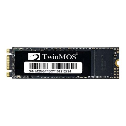 TwinMOS 256GB NGFFEGBM2280 580-550MB/s M2 SATA-3 DİSK