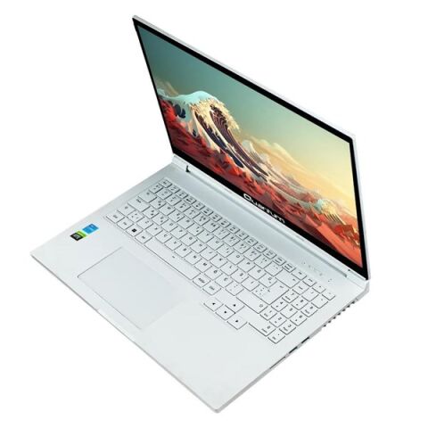 QUANTUM 16'' WHITEFANG G4010 RYZEN 7 8745HS- (Ram Disk Yok) 8GB RTX4060 FDOS (1920 X 1200) Beyaz