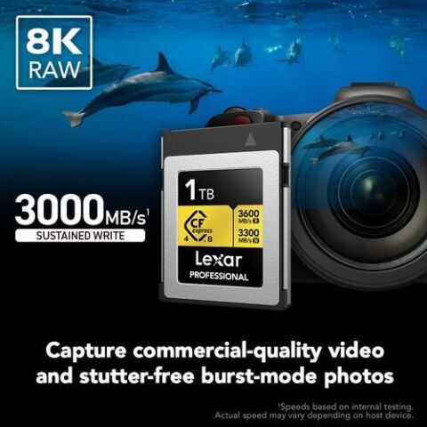 LEXAR 1TB PROFESSIONAL GOLD LCXEXP4001T- RNENG CFEXPRESS 4.0 TYPE-B KART