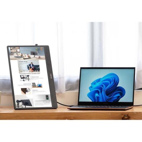 MSI 15.6'' FLAT IPS PRO MP161 E2 4MS 60HZ TAŞINABİLİR MONİTÖR