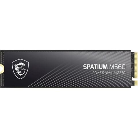 MSI 1TB SPATIUM M560 10200-8400MB/s M2 NVME GEN5 DİSK