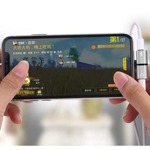 Codegen Apple iPhone Lightning 2 Port Çoklayıcı Dönüştürücü Gümüş Adaptör CDG-CNV43