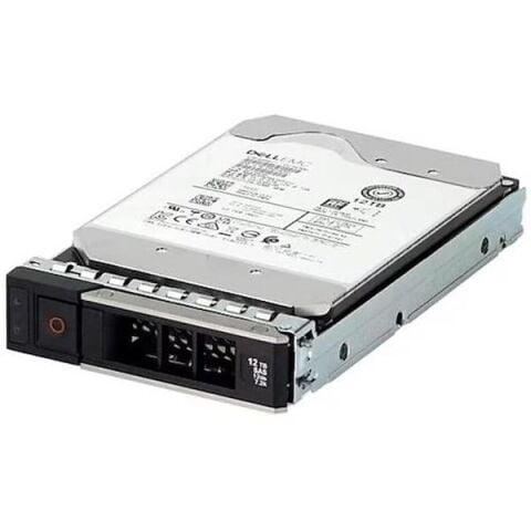 DELL 1TB 3.5'' 161-BBZW 7200RPM 512E SATA-3 SUNUCU DİSK