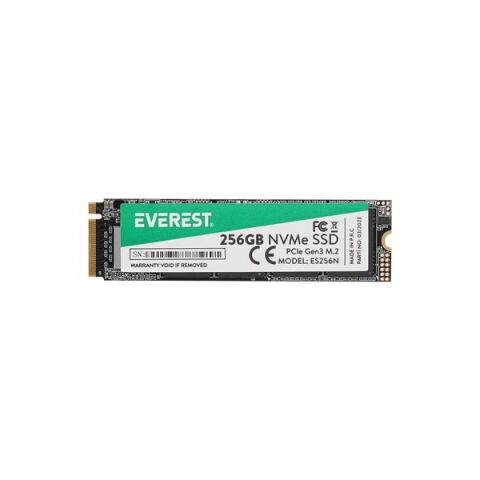 EVEREST 256GB ES256N 2500-1800MB/s M2 NVME DİSK