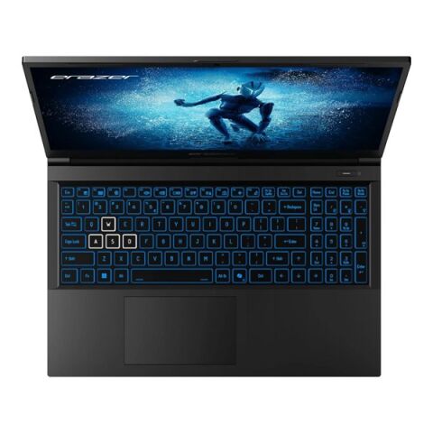 <![CDATA[ERAZER 15.6'' DEPUTY P60 MD62594 CORE i5 12450H 32GB 512GB M2 NVME- 8GB RTX4060 FDOS]]>